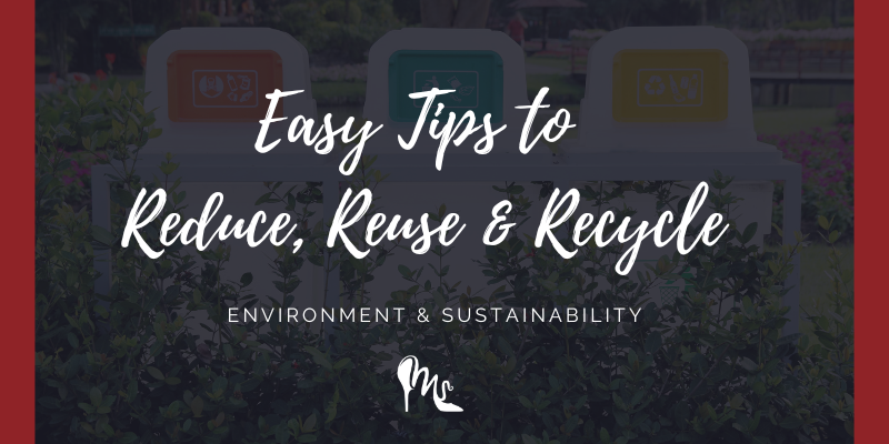 Easy Tips for Women to Reduce, Reuse, and Recycle in a Busy Household