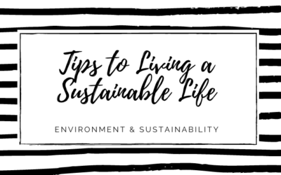Tips to Living a More Sustainable Life